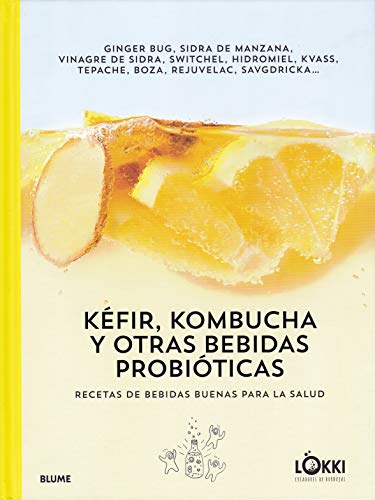 Kéfir, kombucha y otras bebidas probióticas: Recetas de bebidas buenas para la salud