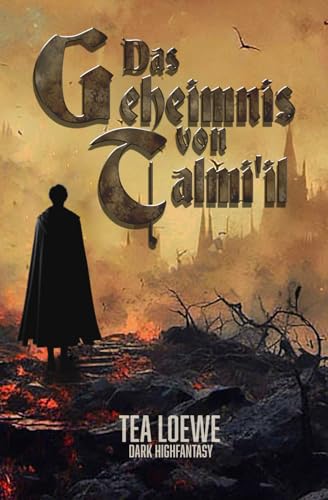 Das Geheimnis von Talmi'il von Independently published