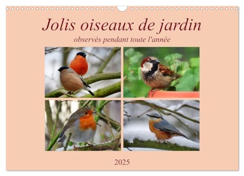 Jolis oiseaux de jardin (Calendrier mural 2025 DIN A3 vertical), CALVENDO calendrier mensuel: Observés pendant toute l'année...