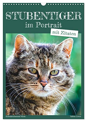 Stubentiger im Portrait (Wandkalender 2025 DIN A3 hoch), CALVENDO Monatskalender von CALVENDO