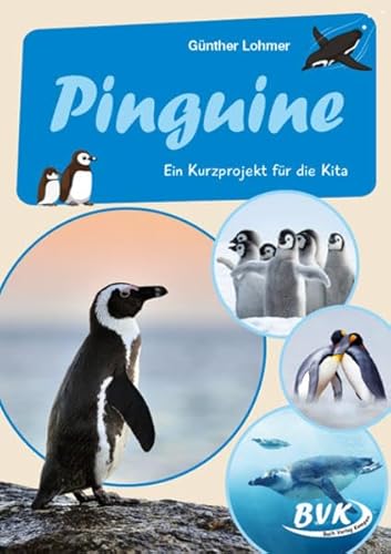 Pinguine: Ein Kurzprojekt für die Kita (Kita-Kurzprojekte) (BVK-Kurzprojekte)