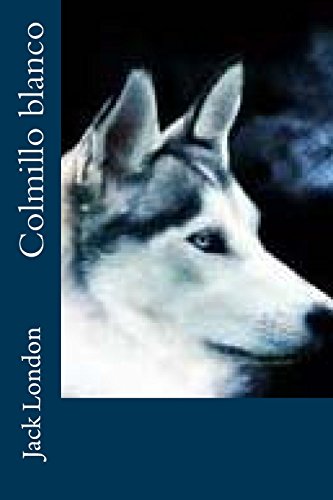 Colmillo blanco