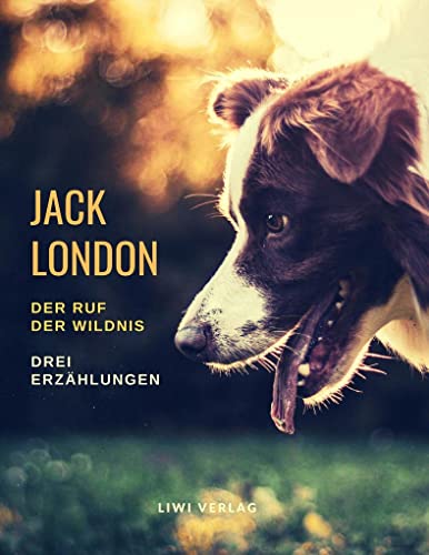 Der Ruf der Wildnis - Drei Romane: Der Ruf der Wildnis / Jerry der Insulaner / Michael, der Bruder Jerrys Der Ruf der Wildnis - Drei Romane: Der Ruf der Wildnis / Jerry der Insulaner / Michael, der Bruder Jerrys
