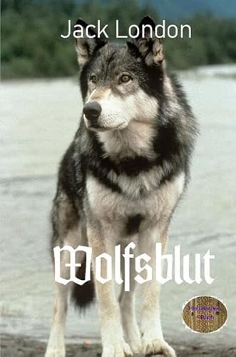 Wolfsblut: Illustrierte Ausgabe