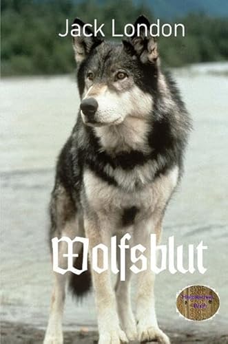 Wolfsblut: Illustrierte Ausgabe Wolfsblut: Illustrierte Ausgabe