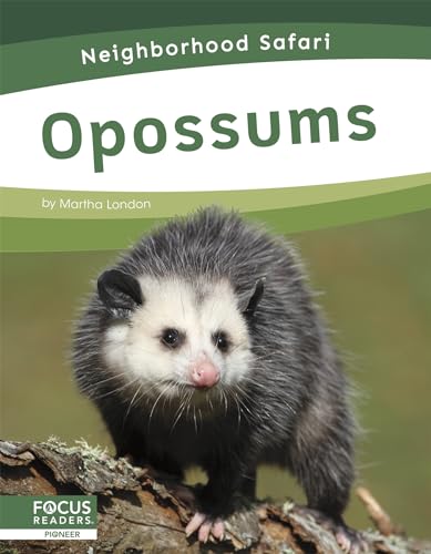 Opossums (Neighborhood Safari) von Focus Readers