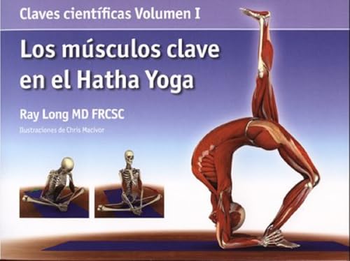 Los músculos clave en el hatha yoga