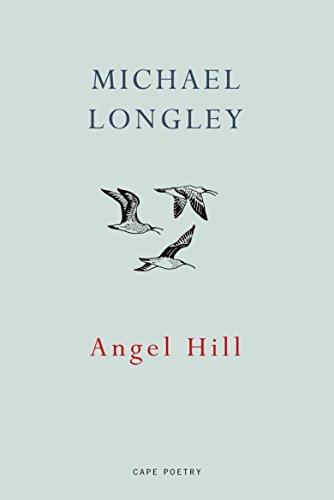 Angel Hill von Jonathan Cape