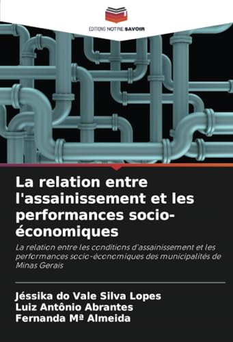 La relation entre l'assainissement et les performances socio-économiques: La relation entre les conditions d'assainissement et les performances socio-économiques des municipalités de Minas Gerais