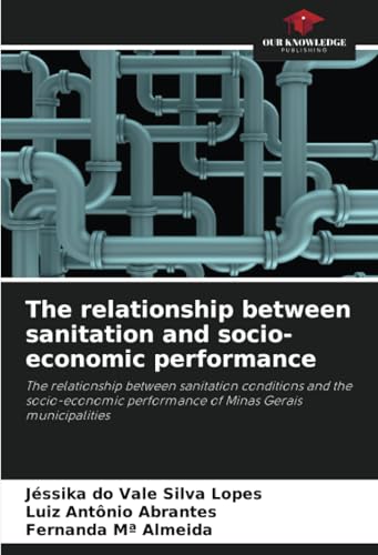 The relationship between sanitation and socio-economic performance: The relationship between sanitation conditions and the socio-economic performance of Minas Gerais municipalities von Our Knowledge Publishing