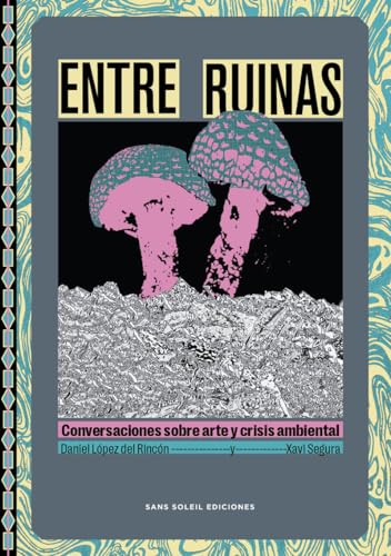 Entre Ruinas: Conversaciones sobre arte y crisis ambiental (Wunderkammer, Band 10) von Sans Soleil Ediciones