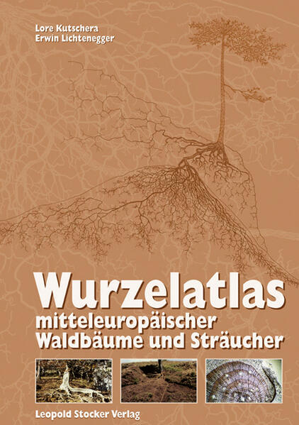 Wurzelatlas mitteleuropäischer Waldbäume und Sträucher von Stocker Leopold Verlag