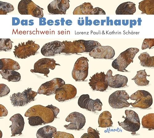 Das Beste überhaupt: Meerschwein sein