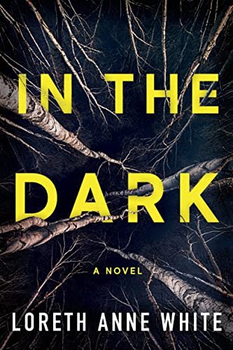 In the Dark In the Dark