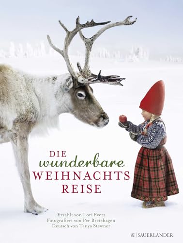 Die wunderbare Weihnachtsreise