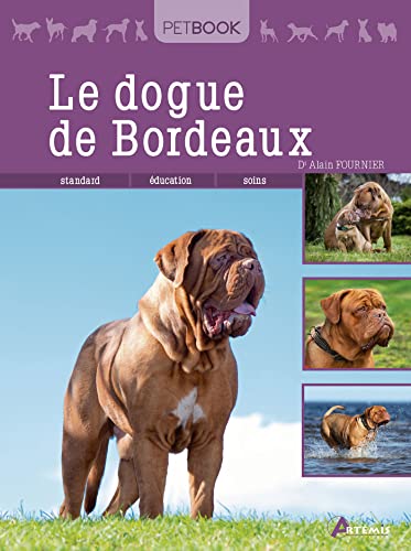 Dogue de Bordeaux: 0 von ARTEMIS