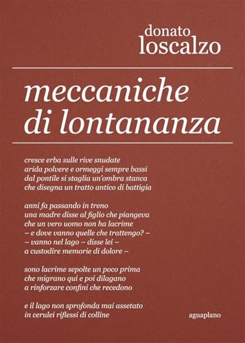 Meccaniche di lontananza (Lapsus calami) von Aguaplano