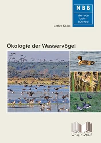 Ökologie der Wasservögel: Einführung in die Limnoornithologie (Die Neue Brehm-Bücherei: Zoologische, botanische und paläontologische Monografien) von VerlagsKG Wolf