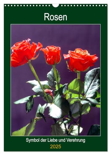 Rosen - Symbol der Liebe und Verehrung (Wandkalender 2025 DIN A3 hoch), CALVENDO Monatskalender von CALVENDO