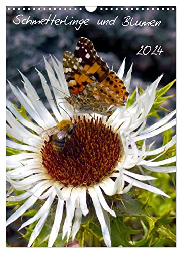 Schmetterlilnge und Blumen (Wandkalender 2024 DIN A3 hoch), CALVENDO Monatskalender von CALVENDO