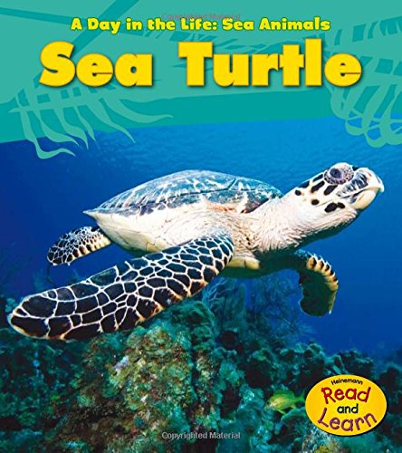 Sea Turtle (A Day in the Life: Sea Animals) von HEINEMANN LIB