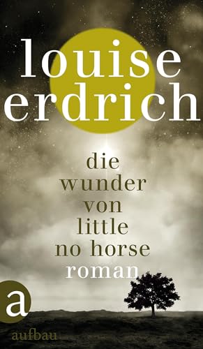 Die Wunder von Little No Horse: Roman