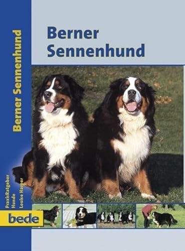 Berner Sennenhund, Praxisratgeber von Bede Verlag GmbH