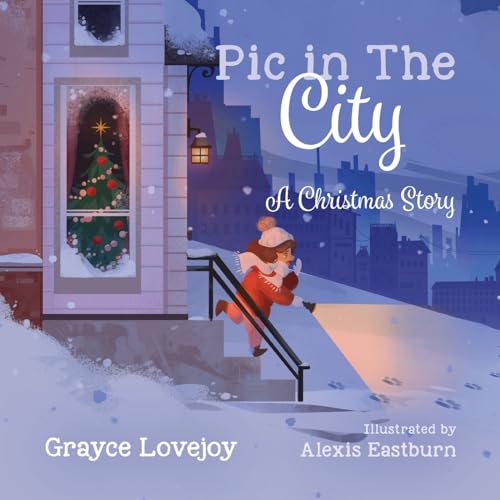 Pic in the City: A Christmas Story von Palmetto Publishing