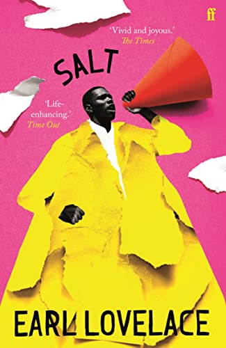 Salt: Winner of the Commonwealth Writers Prize 1997, Best Book von Faber & Faber