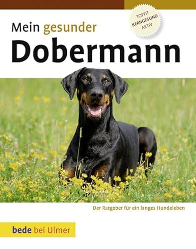 Mein gesunder Dobermann: Der Ratgeber für ein langes Hundeleben. Topfit, kerngesund, aktiv von Ulmer Eugen Verlag
