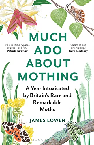 Much Ado About Mothing: A year intoxicated by Britain’s rare and remarkable moths