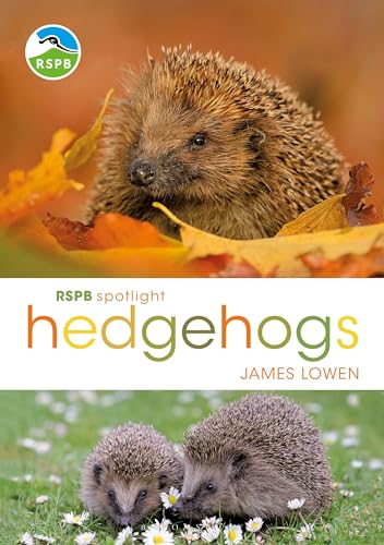 RSPB Spotlight Hedgehogs von Bloomsbury