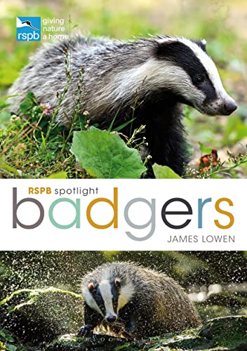 RSPB Spotlight: Badgers von Bloomsbury