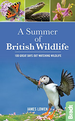 Summer of British Wildlife: 100 great days out watching wildlife (Bradt Wildlife Guide) von Bradt Travel Guides