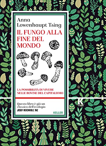 Il fungo alla fine del mondo. La possibilità di vivere nelle rovine del capitalismo (K essay)