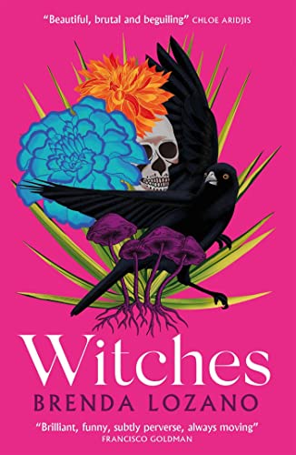 Witches von Quercus Publishing Plc