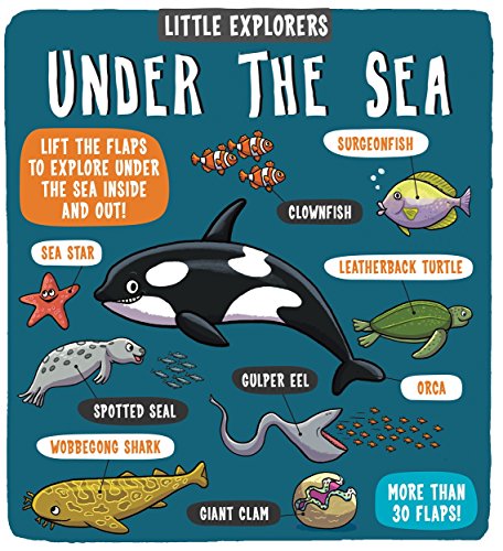 Little Explorers: Under the Sea Little Explorers: Under the Sea