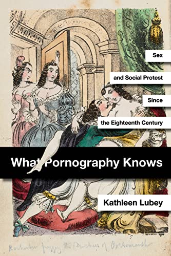 What Pornography Knows: Sex and Social Protest Since the Eighteenth Century von Stanford University Press