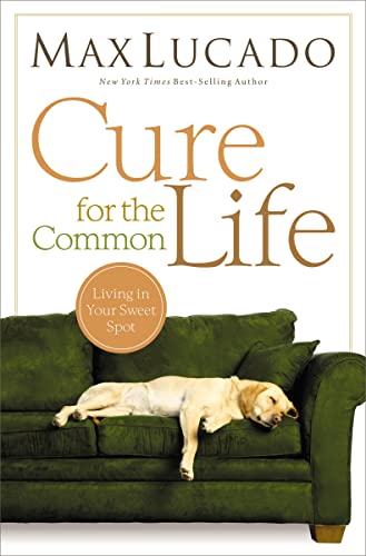 Cure for the Common Life: Living in Your Sweet Spot von Thomas Nelson