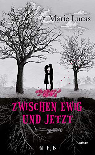Zwischen Ewig und Jetzt: Roman