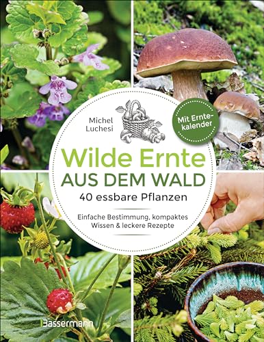 Wilde Ernte aus dem Wald - 40 essbare Pflanzen - einfache Bestimmung, kompaktes Wissen und leckere Rezepte: Standorte, Geschmack, Erntetipps und Sicherheitshinweisen. Mit Erntekalender von Bassermann Verlag