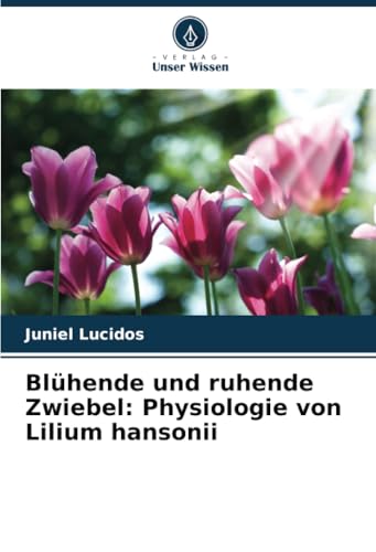 Blühende und ruhende Zwiebel: Physiologie von Lilium hansonii von Verlag Unser Wissen