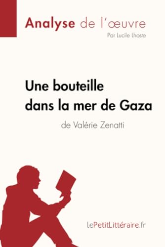 Une bouteille dans la mer de Gaza de Valérie Zenatti (Fiche de lecture): Analyse complète et résumé détaillé de l'oeuvre