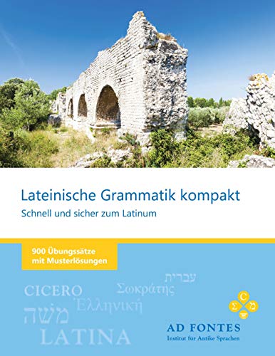 Lateinische Grammatik kompakt - Schnell und sicher zum Latinum