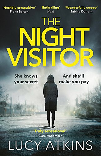 The Night Visitor: the gripping thriller from the author of Magpie Lane von Quercus Books