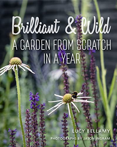 Brilliant and Wild: A Garden from Scratch in a Year von Pimpernel Press