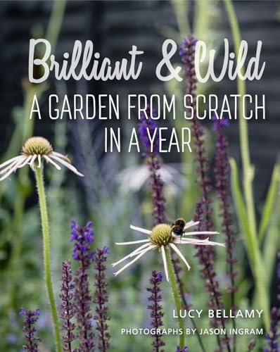 Brilliant and Wild: A Garden from Scratch in a Year von Pimpernel Press