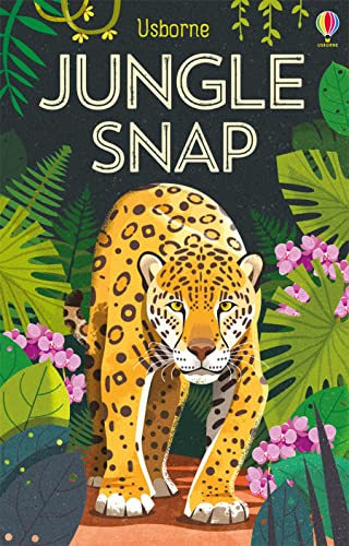 Jungle Snap (Snap Cards) von USBORNE CAT ANG