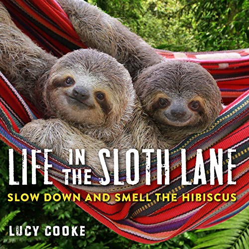 Life in the Sloth Lane: Slow Down and Smell the Hibiscus: 1 Life in the Sloth Lane: Slow Down and Smell the Hibiscus: 1