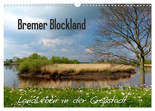 Bremer Blockland - Landleben in der Großstadt (Wandkalender 2025 DIN A3 quer), CALVENDO Monatskalender von CALVENDO